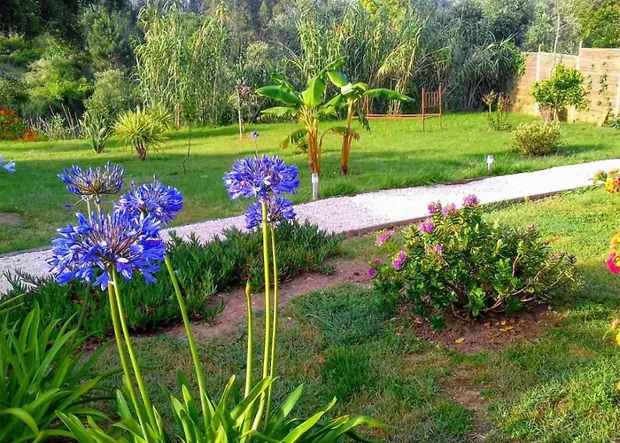 Holiday home Casa Lantana