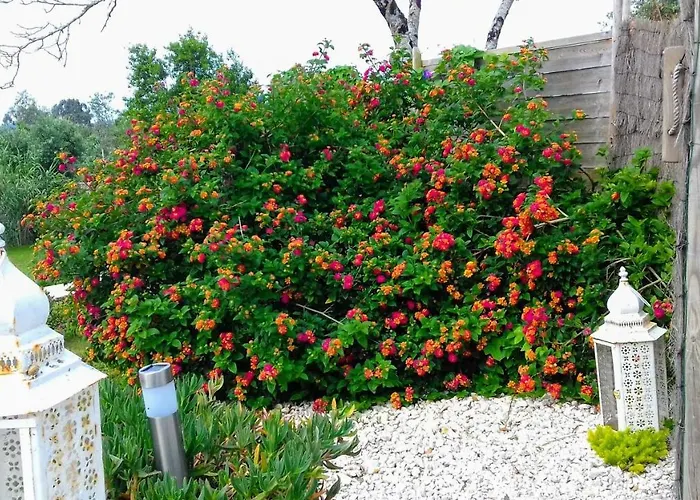 Casa Lantana Holiday home *