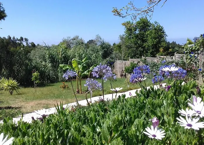 Holiday home Casa Lantana Figueira da Foz