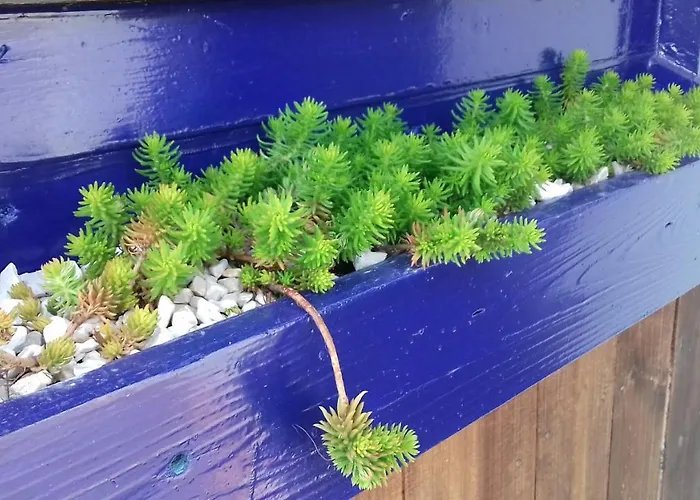 Holiday home Casa Lantana Figueira da Foz