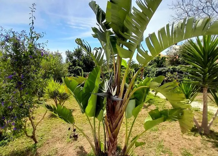 Casa Lantana * Figueira da Foz