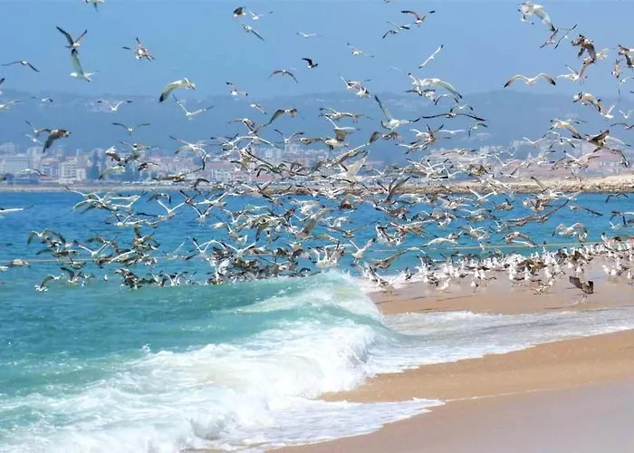 Holiday home Casa Lantana