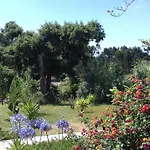 Casa Lantana Casa vacanze Figueira da Foz