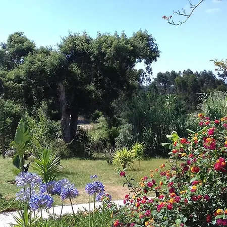 Casa Lantana Tatil Evi Figueira da Foz