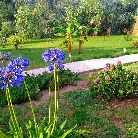 Nyaraló Casa Lantana