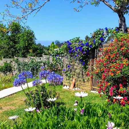 Casa Lantana Tatil Evi