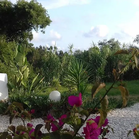 Nyaraló Casa Lantana Figueira da Foz
