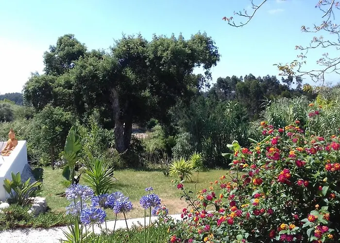 Casa Lantana Σπίτι διακοπών Figueira da Foz