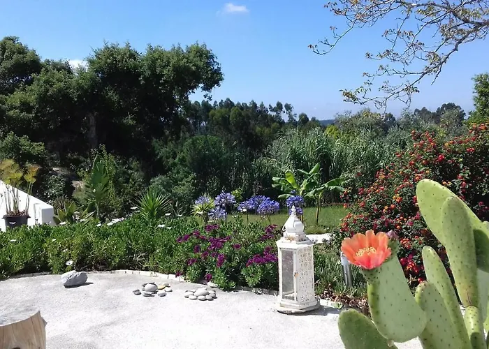Casa Lantana Figueira da Foz