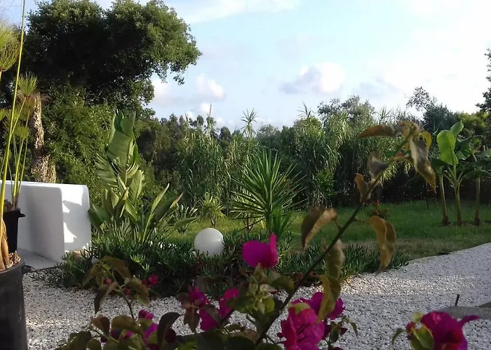 Σπίτι διακοπών Casa Lantana Figueira da Foz