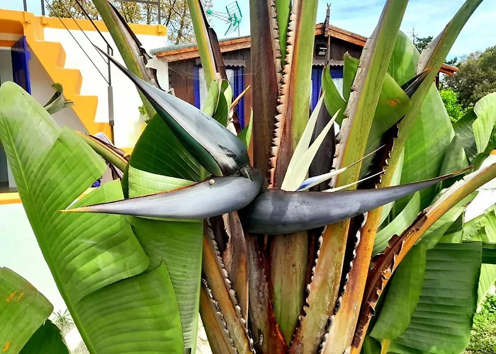 Casa Lantana Σπίτι διακοπών *