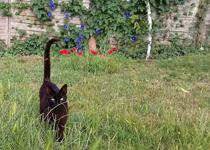 Σπίτι διακοπών Casa Lantana